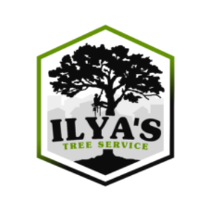 Ilya's Tree Service