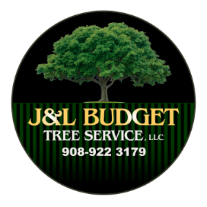 J_L Budget Tree Service LLC