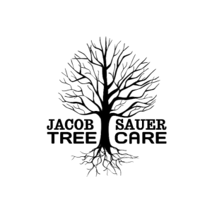 Jacob Sauer Tree Care