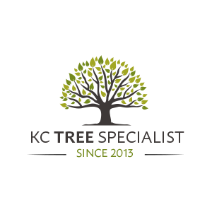 KC Tree Specialist