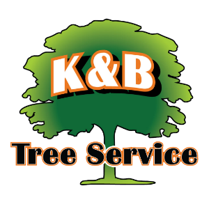 K_B Tree Service