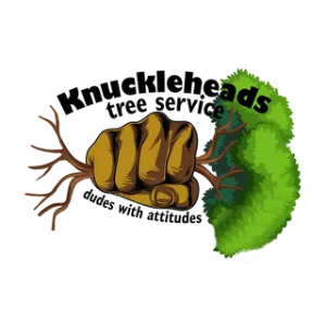 Knuckleheads Tree Service