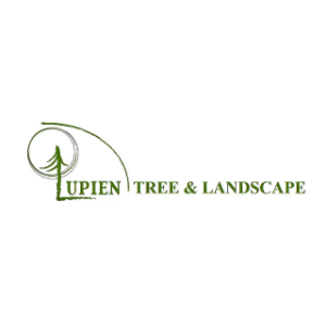 Lupien Tree _ Landscape