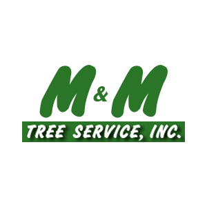 M _ M Tree Service