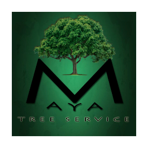 Maya Tree Service