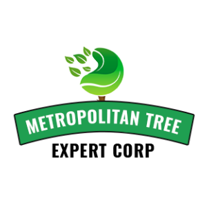Metropolitan Tree and Landscaping