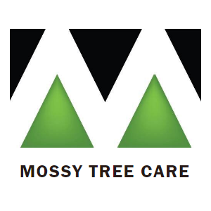 Mossy Tree Care