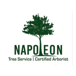 Napoleon Tree Service