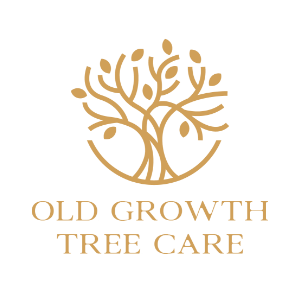 Old Growth Tree Care