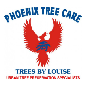 Phoenix Tree Care _ Trees by Louise