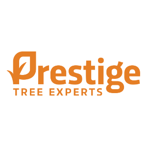 Prestige Tree Experts