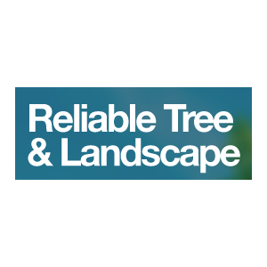 Reliable Tree _ Landscape