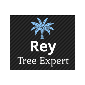 Rey Tree Expert