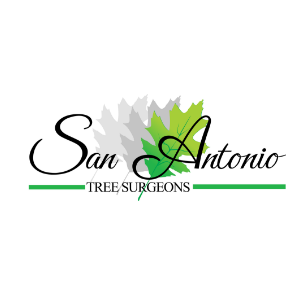 San Antonio Tree Surgeons