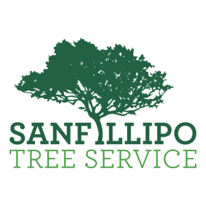 Sanfillipo Tree Service
