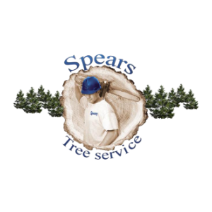 Spears Tree Service