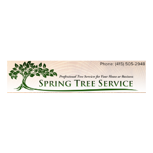 Spring Tree Service _ Maintenance