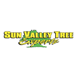 Sun Valley Tree Experts