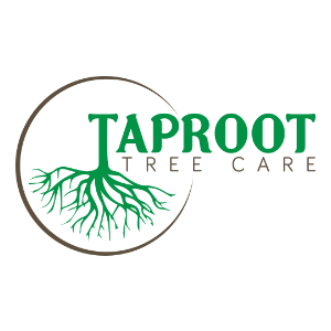 Taproot Tree Care, LLC
