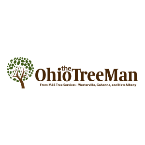 The Ohio Treeman