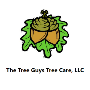 the tree guys lincoln ne