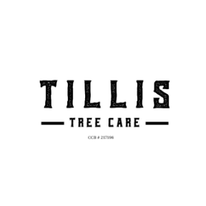 Tillis Tree Care