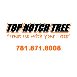 Top Notch Tree, Inc.