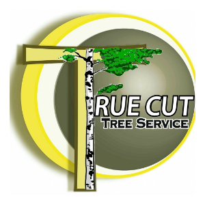 True Cut Tree Care