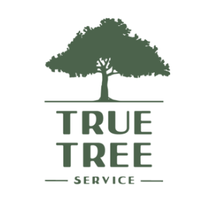 True Tree Service