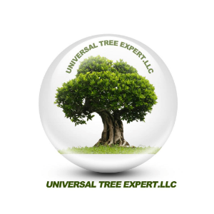 Universal Tree Expert, LLC