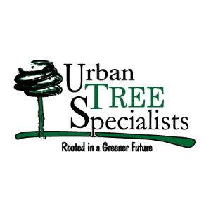 Urban Tree Specialists