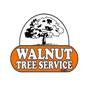 Walnut Tree Services