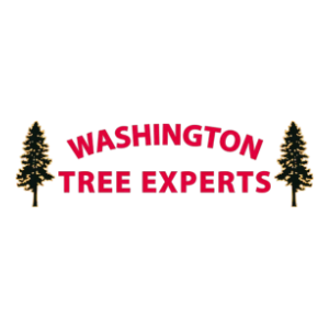 Washington Tree Experts