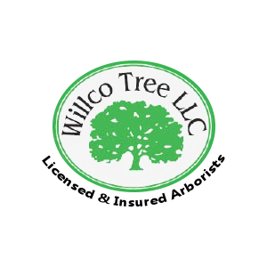 Willco Tree LLC