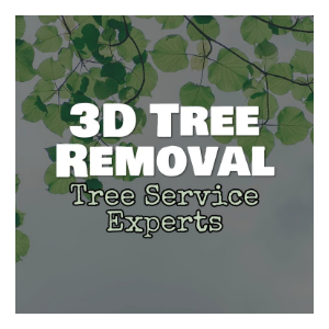 3D Tree Removal Service