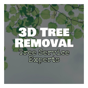 Tree Service Marietta Ga