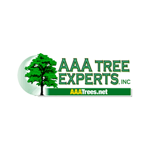 AAA Tree Experts