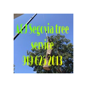 A_J Segovia Tree Services