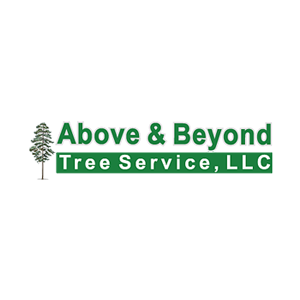 Above _ Beyond Tree Service, LLC