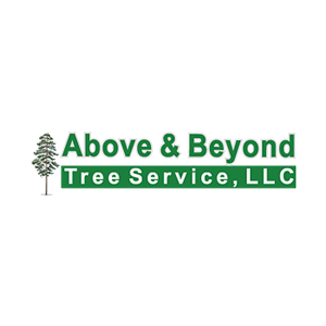 Tree Service Kennesaw Ga