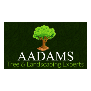 Adams Tree _ Landscaping Experts