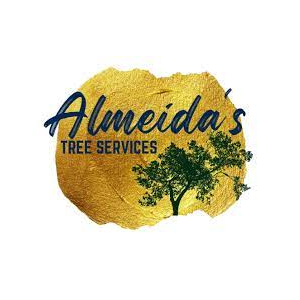 Almeida_s Tree Services