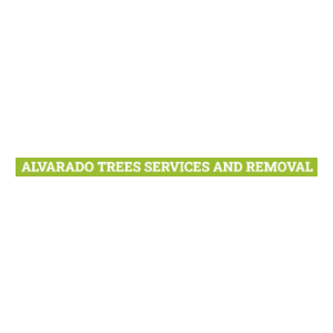 Alvarado Trees Services and Removal
