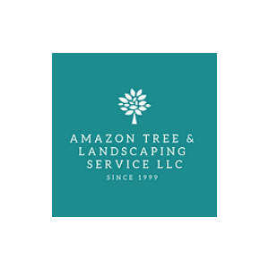 Amazon Tree _ Landscaping Service LLC