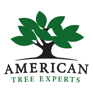 American Tree Experts