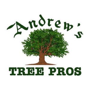 Andrew's Tree Pros