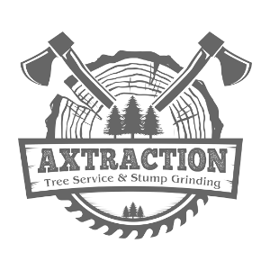 Axtraction Tree Service and Stump Grinding