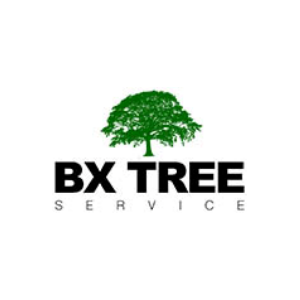 BX Tree Service