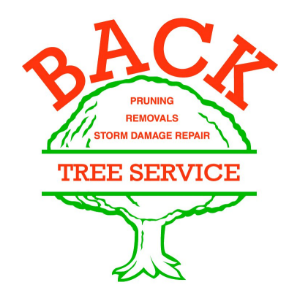 Back Tree Service