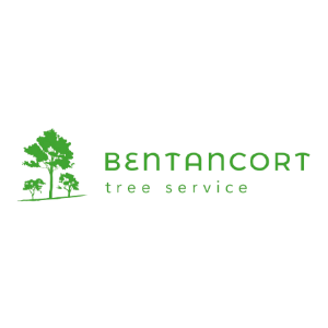 Bentancort Tree Service